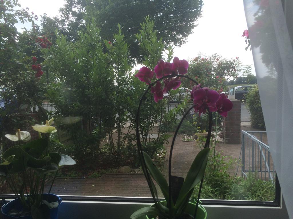 Boutique Krone - 